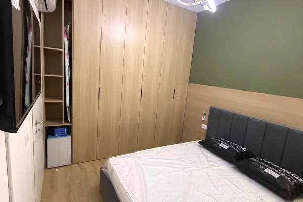 Apartment for rent in Tirana 2+1, Furnished