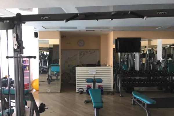 JEPET AMBIENT BIZNESI ME QERA, KODRA E DIELLIT 