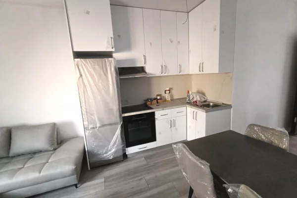 Shtepi me qera Apartament ne Tirane, 2+1, Mobilimi E mobiluar, Pagesa 55,000  Leke.