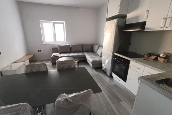 Shtepi me qera Apartament ne Tirane, 1+1, Mobilimi E mobiluar, Pagesa 45,000  Leke.