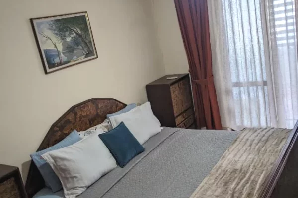 Shtepi me qera Apartament ne Tirane, 3+1, Mobilimi E mobiluar, Pagesa 63,000  Leke.