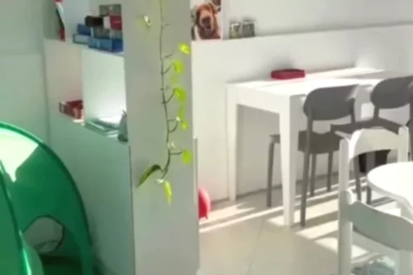 JEPET ZYRE ME QERA, ALI DEMI 