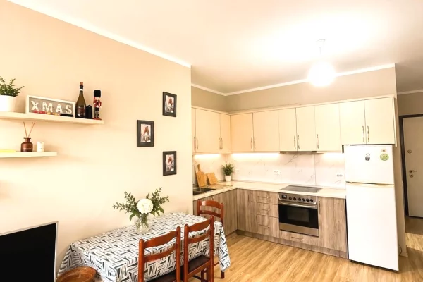 Shtepi me qera Apartament ne Tirane, 1+1, Mobilimi E mobiluar, Pagesa 52,000  Leke.