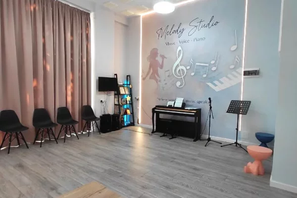JEPET AMBIENT BIZNESI ME QERA, ALI DEMI