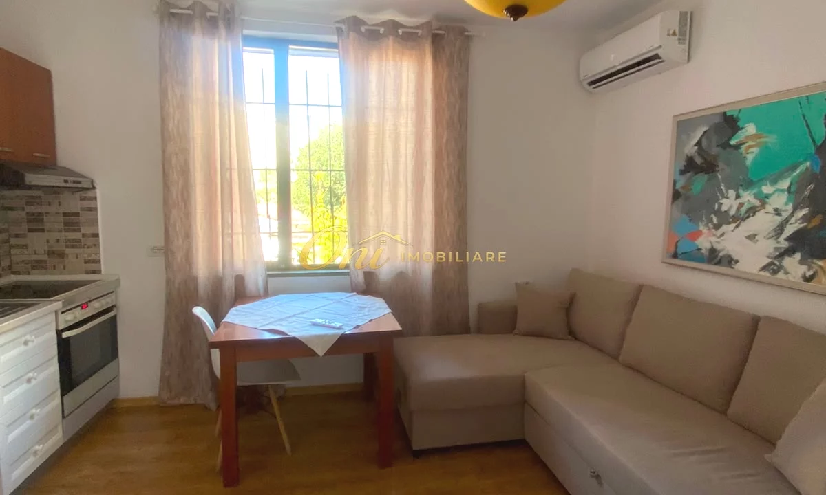 Shtepi me qera Apartament ne Tirane, 1+1, Mobilimi E mobiluar, Pagesa 65,000  Leke.