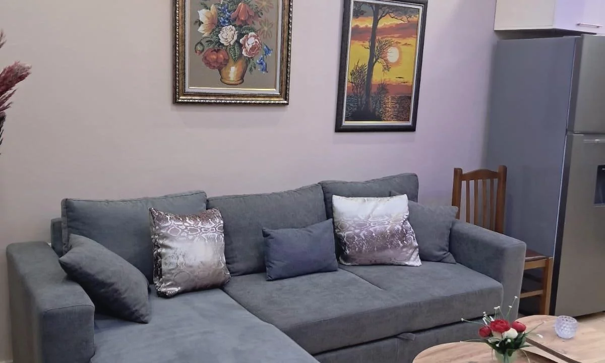 Shtepi me qera Apartament ne Tirane, 1+1, Mobilimi E mobiluar, Pagesa 500  Euro.