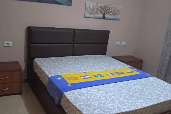 Shtepi me qera Apartament ne Tirane, 1+1, Mobilimi E mobiluar, Pagesa 500  Euro.