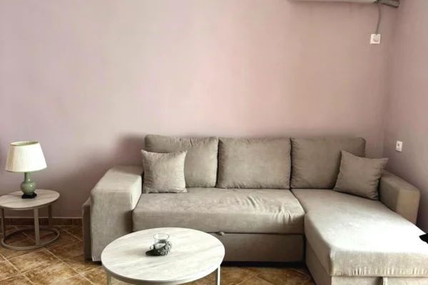 Shtepi me qera Apartament ne Tirane, 1+1, Mobilimi E mobiluar, Pagesa 45,000  Leke.