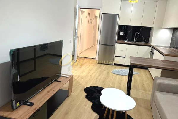 Shtepi me qera 1+1 ne Tirane - 45,000 Leke