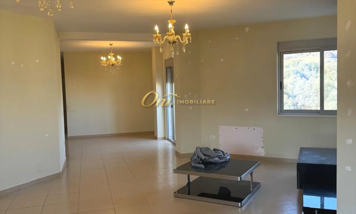 Shtepi me qera Apartament ne Tirane, 3+1, Mobilimi Bosh, pa mobiluar, Pagesa 1,000  Euro.