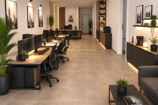 LIQENI I THATE, JEPET AMBIENT ZYRE 160M2 ME QERA