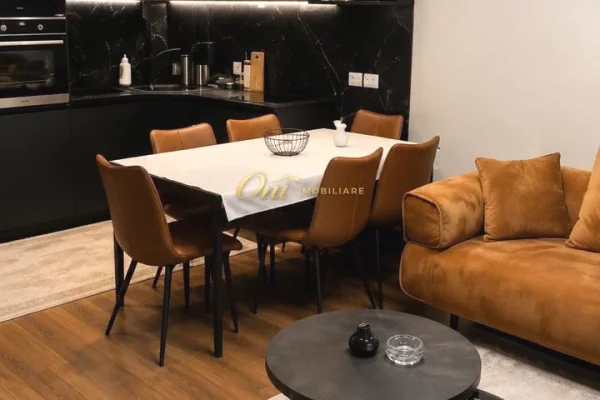 Shtepi ne shitje Apartament ne Tirane, 1+1, Mobilimi E mobiluar, Pagesa 170,000  Euro.