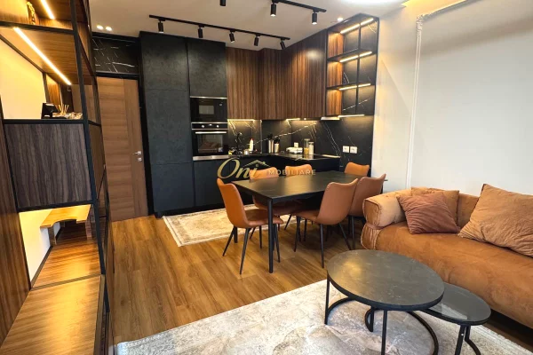 Shtepi ne shitje Apartament ne Tirane, 1+1, Mobilimi E mobiluar, Pagesa 170,000  Euro.