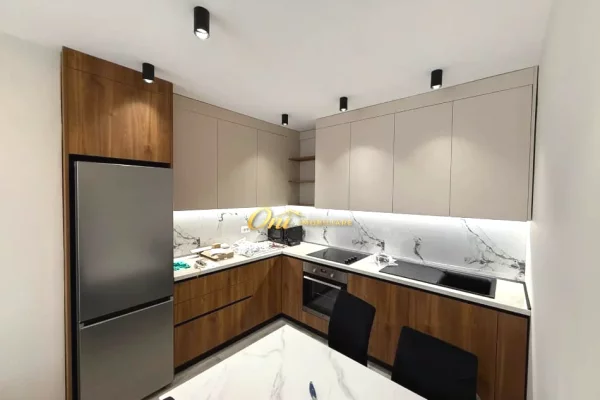 Shtepi me qera Apartament ne Tirane, 1+1, Mobilimi E mobiluar, Pagesa 65,000  Leke.