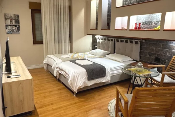 House for Rent Apartment in Tirana, 1+1, Furniture Furnished, Payment 1,500  Euro.