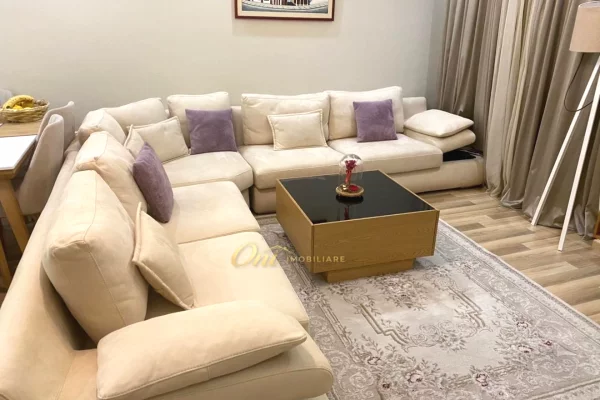 Shtepi ne shitje Apartament ne Tirane, 1+1, Mobilimi E mobiluar, Pagesa 13,300,000  Leke.
