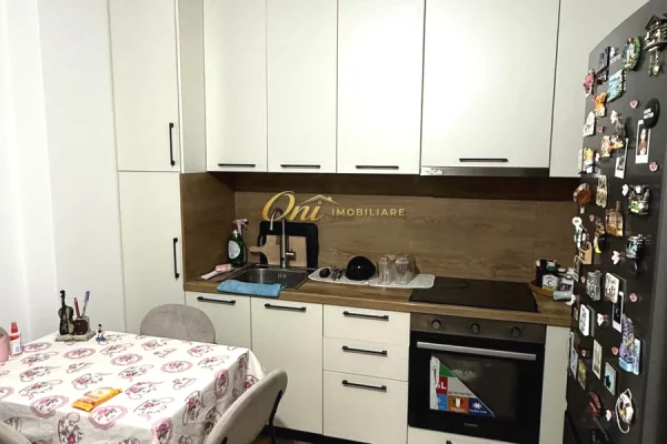 House for Rent Apartment in Tirana, 1+1, Furniture Furnished, Payment 45,000  Leke.