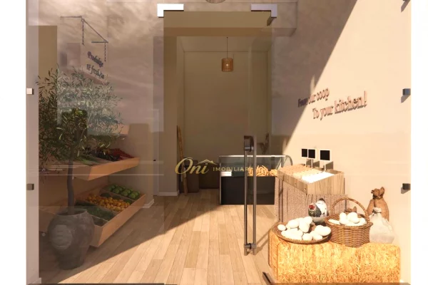 Business Property in Sale 1+1 in Tirana - 30,000 Leke