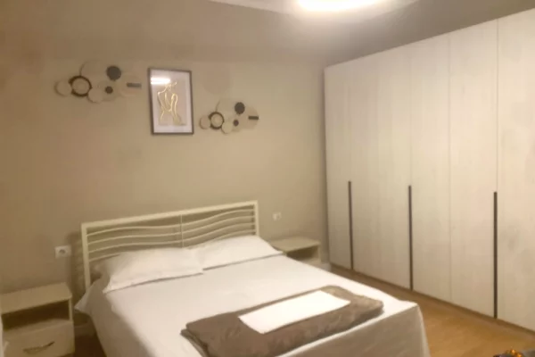 House for Rent Apartment in Tirana, 1+1, Furniture Furnished, Payment 38,000  Leke.