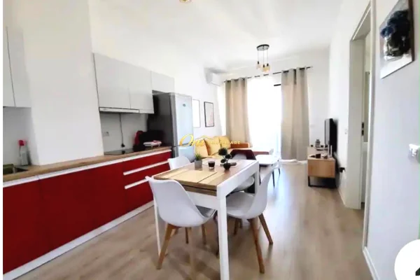 House for Rent Apartment in Tirana, 1+1, Furniture Furnished, Payment 60,000  Leke.