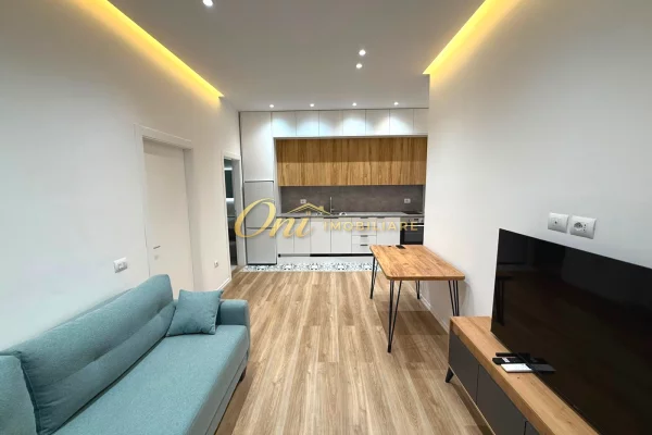 House for Rent Apartment in Tirana, 1+1, Furniture Furnished, Payment 60,000  Leke.