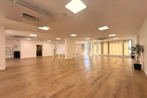 RRUGA E KAVAJES, AMBIENT ZYRE 585M2 PER QERA 