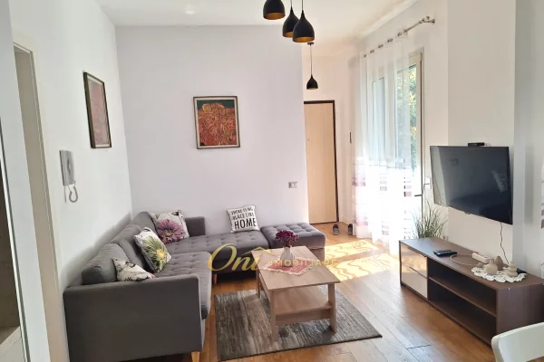 Shtepi me qera Apartament ne Tirane, 1+1, Mobilimi E mobiluar, Pagesa 80,000  Leke.