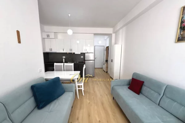 Shtepi ne shitje Apartament ne Tirane, 1+1, Mobilimi E mobiluar, Pagesa 105,000  Euro.