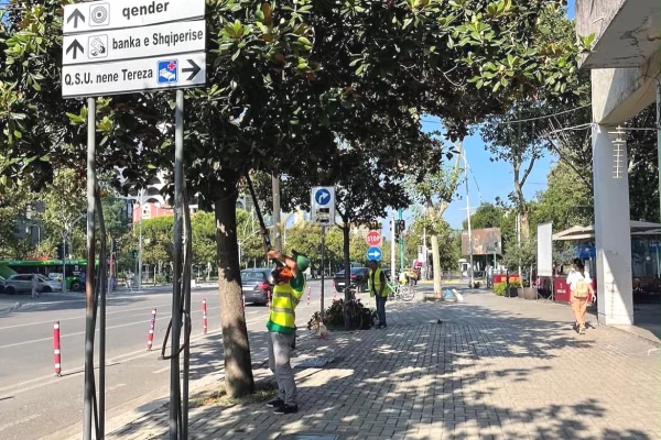 PAZARI I RI DYQAN 31M2 PER QERA 