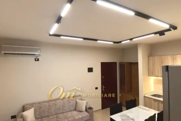 Shtepi me qera Apartament ne Tirane, 1+1, Mobilimi E mobiluar, Pagesa 60,000  Leke.