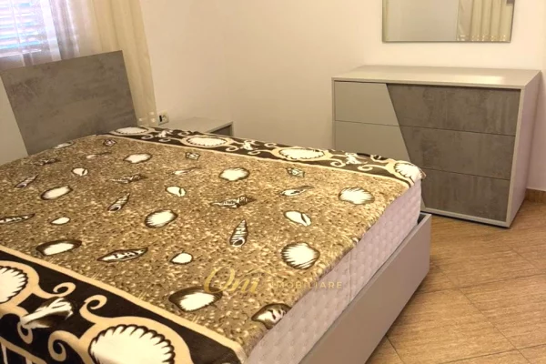 Shtepi me qera Apartament ne Tirane, 2+1, Mobilimi E mobiluar, Pagesa 60,000  Leke.