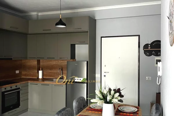 Shtepi me qera Apartament ne Tirane, 1+1, Mobilimi E mobiluar, Pagesa 50,000  Leke.
