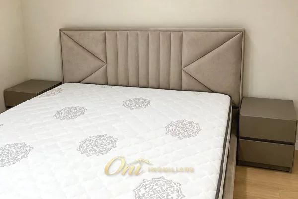 Shtepi me qera Apartament ne Tirane, 1+1, Mobilimi E mobiluar, Pagesa 55,000  Leke.
