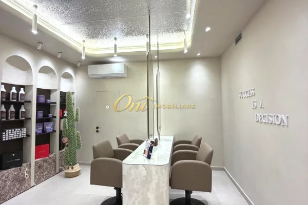 SELITE AMBIENT BIZNESI PER QERA 
