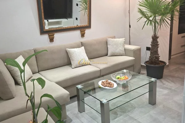 Shtepi me qera 1+1 ne Tirane - 65,000 Leke