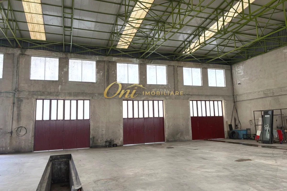 MULLET MAGAZINE 5000M2 PER QERA 