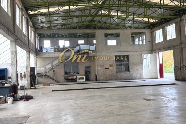 MULLET MAGAZINE 5000M2 PER QERA 