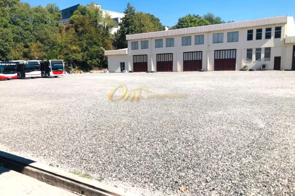 MULLET MAGAZINE 5000M2 PER QERA 