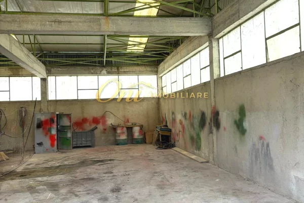 MULLET MAGAZINE 5000M2 PER QERA 
