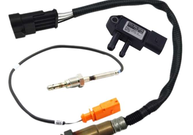 Katalita, Partikular. Montojm katalita dhe partikular.