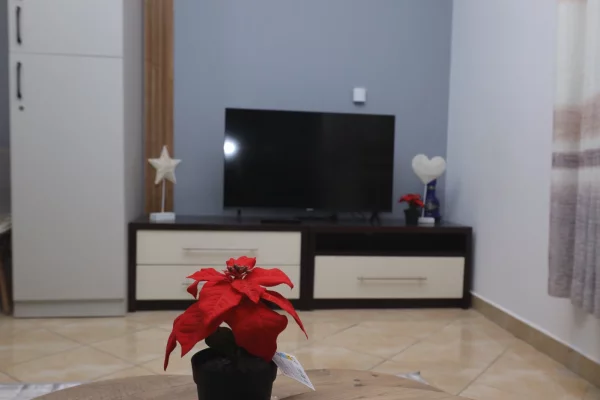 Shtepi ne shitje Shtepi Private ne Tirane, 1+1, Mobilimi E mobiluar, Pagesa 220,000  Euro.