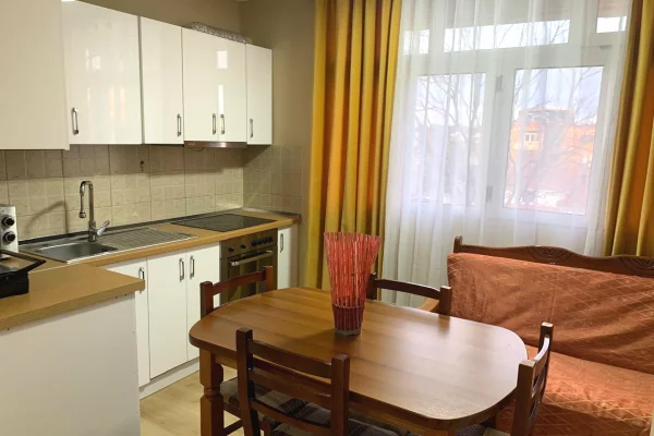 Shtepi me qera Apartament ne Tirane, 1+1, Mobilimi E mobiluar, Pagesa 45,000  Leke.