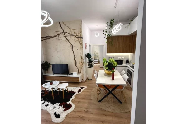 Shtepi me qera Apartament ne Tirane, 1+1, Mobilimi E mobiluar, Pagesa 650  Euro.