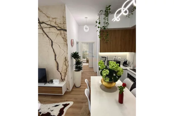 Shtepi me qera Apartament ne Tirane, 1+1, Mobilimi E mobiluar, Pagesa 650  Euro.