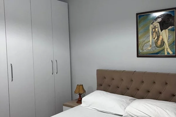 Shtepi me qera Apartament ne Tirane, 1+1, Mobilimi E mobiluar, Pagesa 450  Euro.
