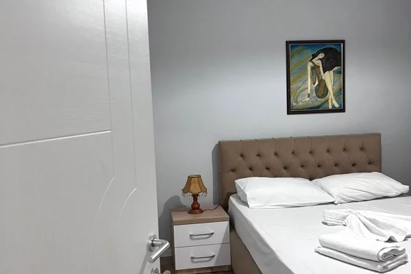 Shtepi me qera Apartament ne Tirane, 1+1, Mobilimi E mobiluar, Pagesa 450  Euro.