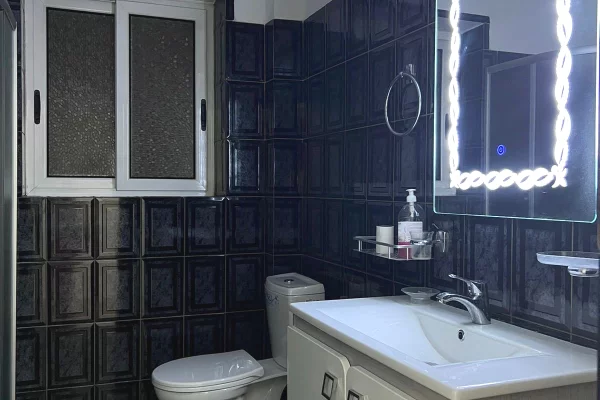 Shtepi me qera Apartament ne Tirane, 1+1, Mobilimi E mobiluar, Pagesa 450  Euro.