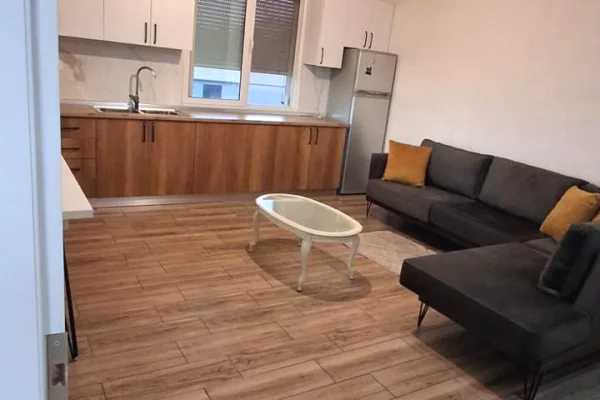 Shtepi me qera Apartament ne Tirane, 1+1, Mobilimi E mobiluar, Pagesa 35,000  Leke.