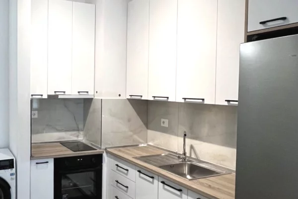 Apartament me qera 1+1 Ali Demi 