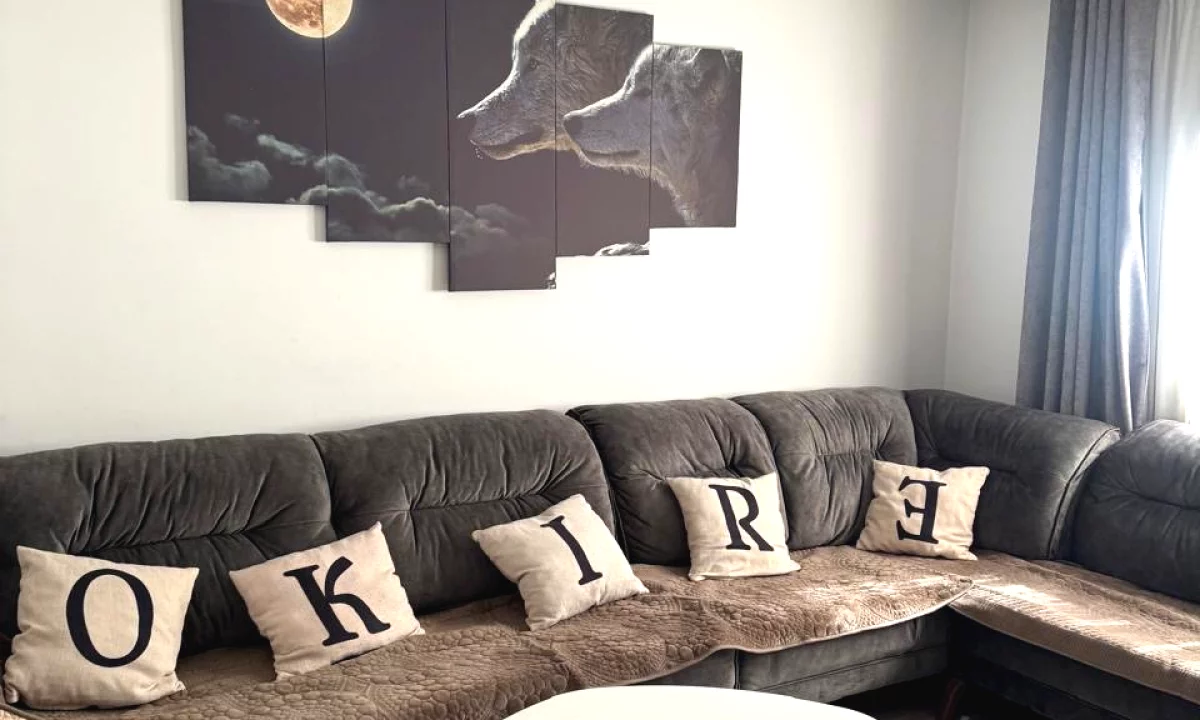 Shtepi me qera Apartament ne Tirane, 1+1, Mobilimi E mobiluar, Pagesa 500  Euro.